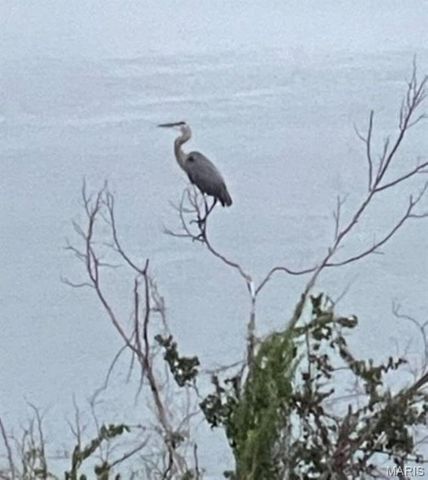 680 Emerald Pointe Drive 1, Hollister, MO 65672