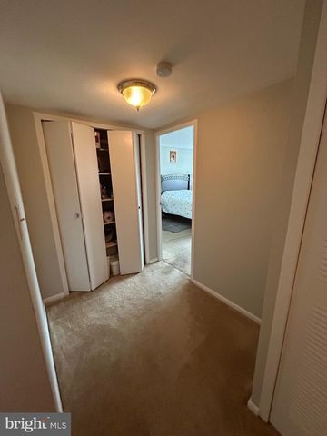 5801 QUANTRELL AVE #509, Alexandria, VA 22312