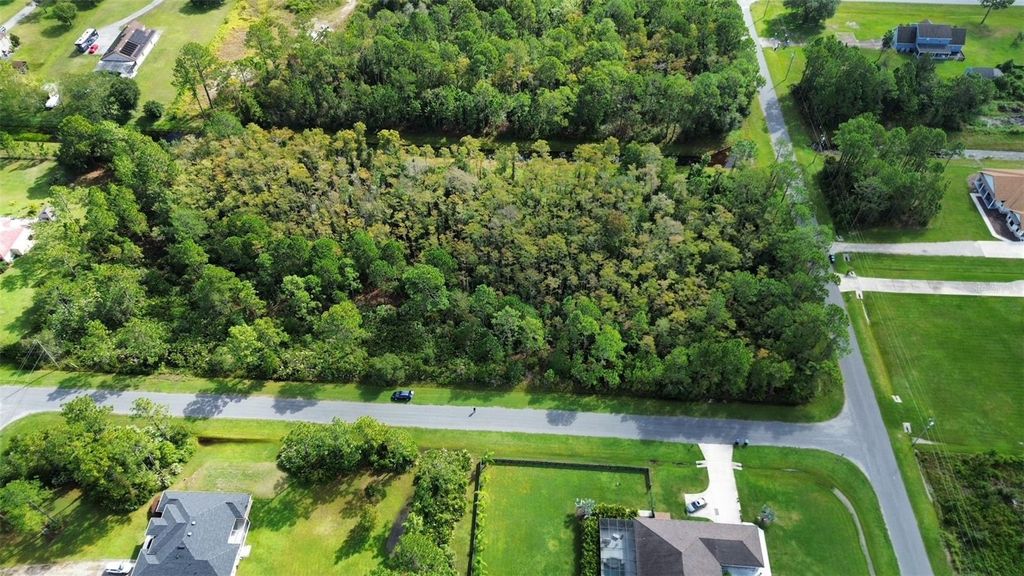 BASSETT AVENUE, Orlando, FL 32833