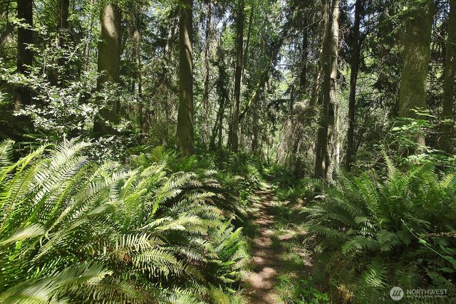 0 XXXX Goss Ridge Road, Freeland, WA 98249