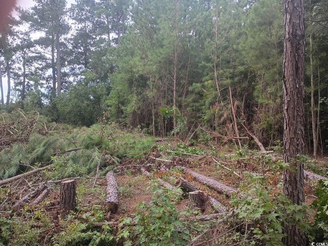 Lot 10-D McGregor St., Lake City, SC 29560