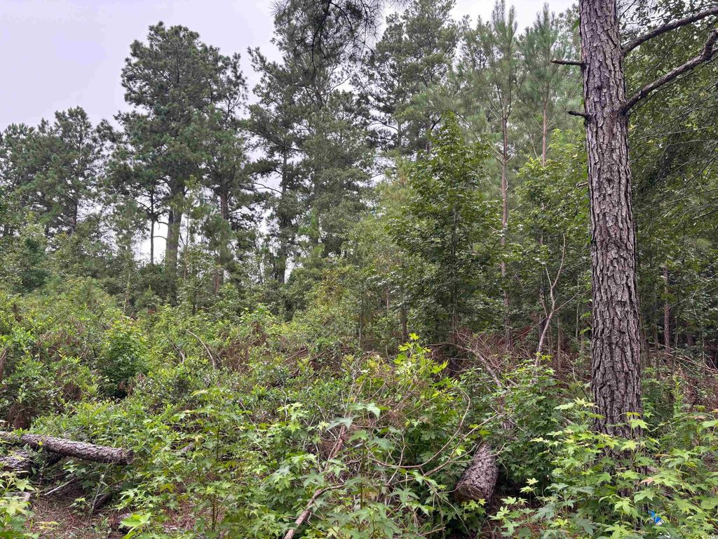 Lot 10-D McGregor St., Lake City, SC 29560