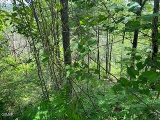 Lot 18 Turkey Creek Way, Sevierville, TN 37862