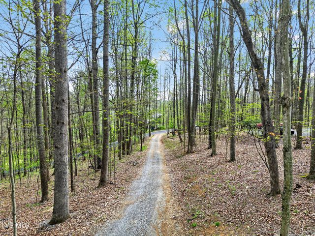 12034 Waterhouse Lane, Meadowview, VA 24361