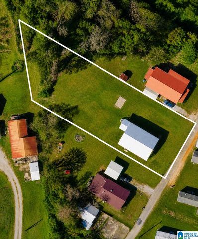 572 NAIL ROAD, Kimberly, AL 35091