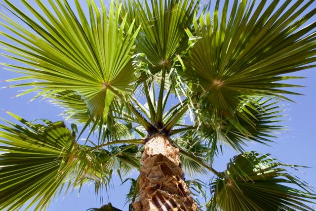 12525 Julian Avenue, Lakeside, CA 92040