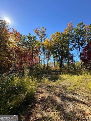 24 Cahill Drive, Andrews, NC 28901