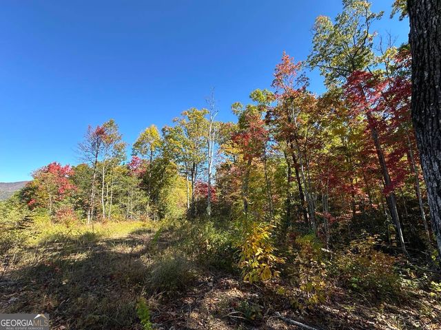 24 Cahill Drive, Andrews, NC 28901