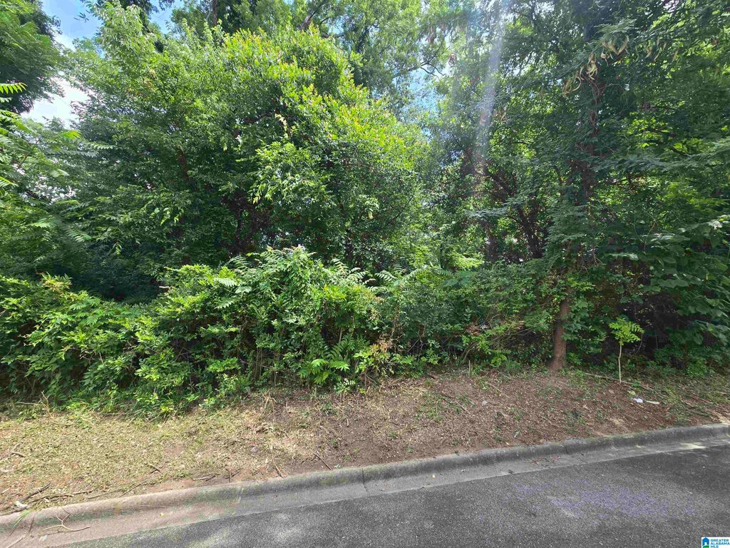 2511 17TH PLACE S, Homewood, AL 35209