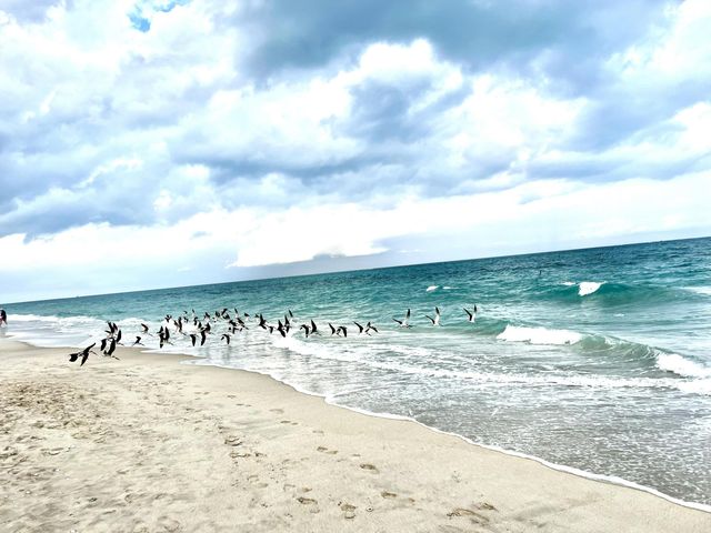 3400 N Ocean Drive 1806, Singer Island, FL 33404