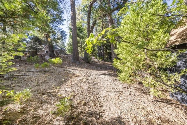 380 Dolly Varden, Lake Arrowhead, CA 92352