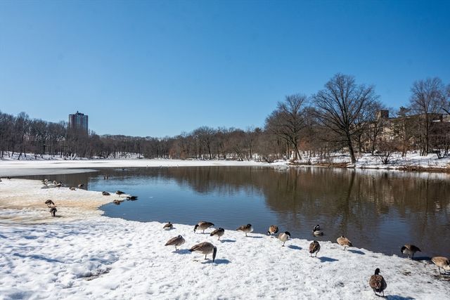 70 Jamaicaway 5, Boston, MA 02130