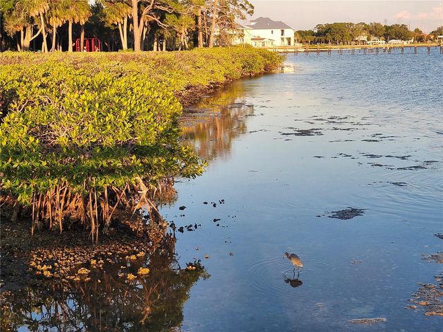 3071 HURON AVENUE, Oldsmar, FL 34677