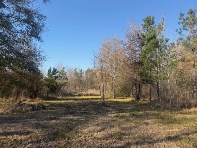 761 County Road 3556, Cleveland, TX 77327