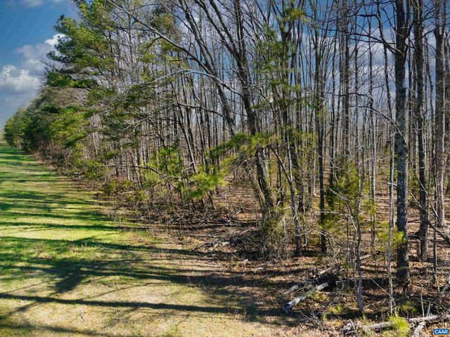 19075 CHILESBURG RD, Beaverdam, VA 23015