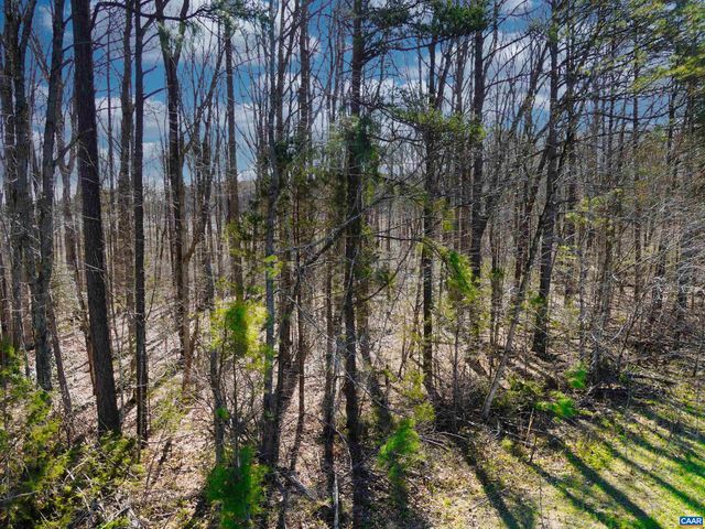 19075 CHILESBURG RD, Beaverdam, VA 23015