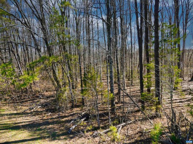 19075 CHILESBURG RD, Beaverdam, VA 23015