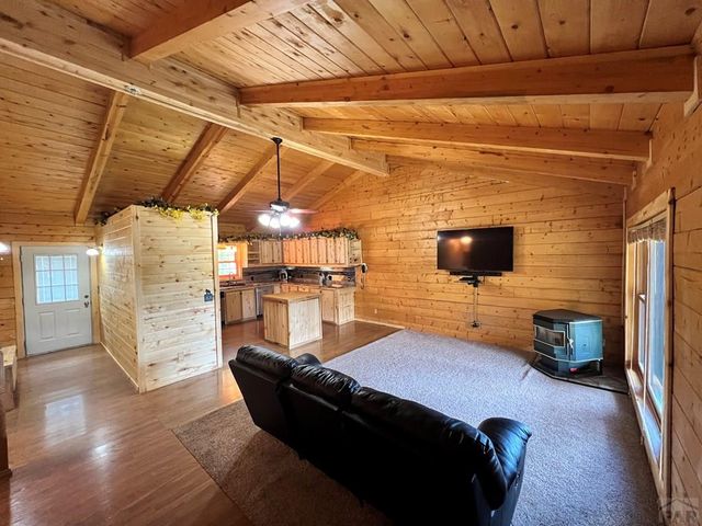 105 St Charles Ave, Rye, CO 81069