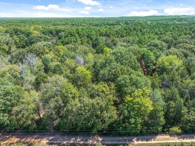 TBD County Road 8987, Ben Wheeler, TX 75754