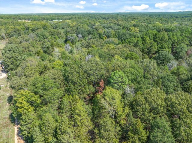 TBD County Road 8987, Ben Wheeler, TX 75754