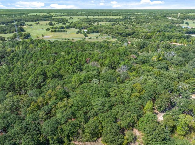 TBD County Road 8987, Ben Wheeler, TX 75754