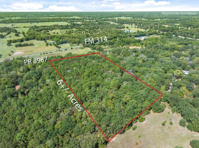 TBD County Road 8987, Ben Wheeler, TX 75754