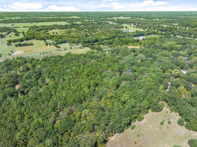 TBD County Road 8987, Ben Wheeler, TX 75754