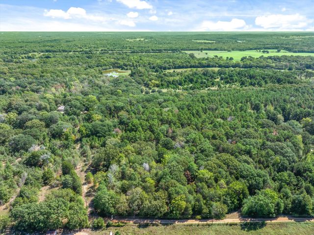 TBD County Road 8987, Ben Wheeler, TX 75754