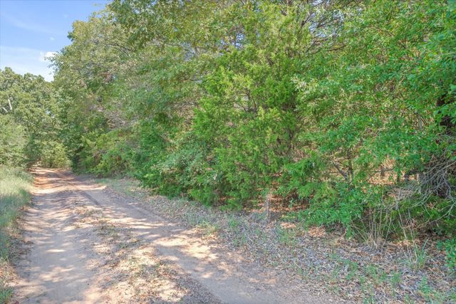 TBD County Road 8987, Ben Wheeler, TX 75754