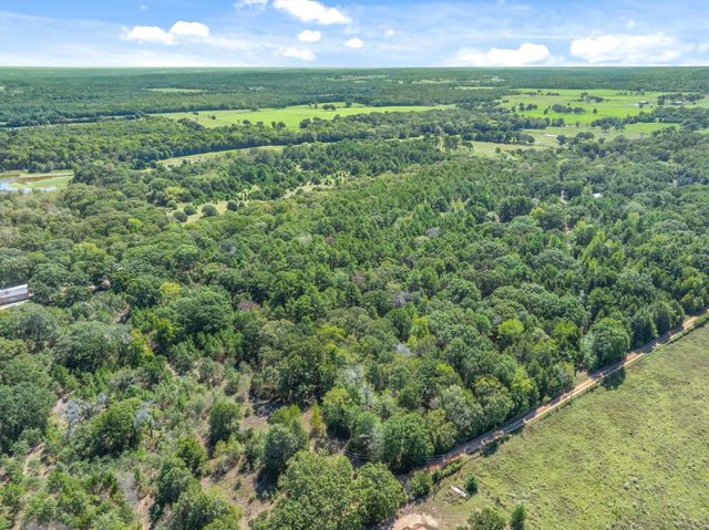 TBD County Road 8987, Ben Wheeler, TX 75754