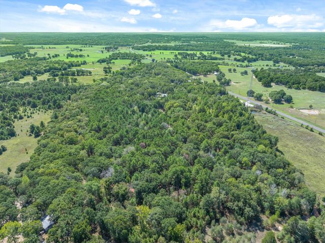 TBD County Road 8987, Ben Wheeler, TX 75754