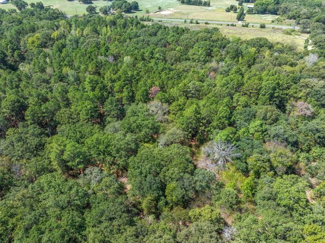 TBD County Road 8987, Ben Wheeler, TX 75754