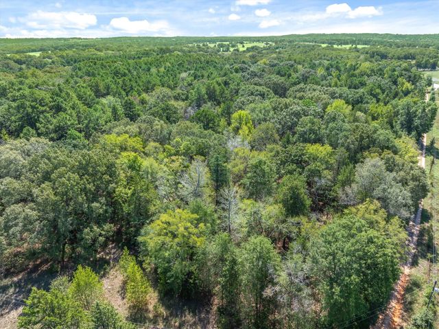 TBD County Road 8987, Ben Wheeler, TX 75754