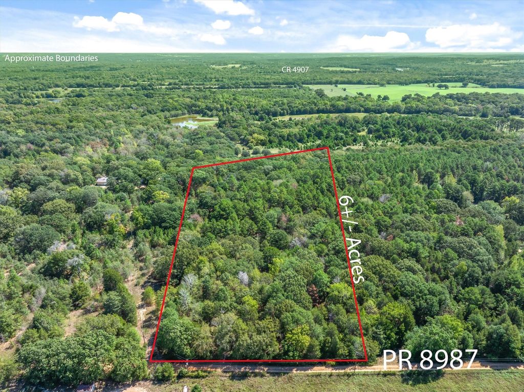TBD County Road 8987, Ben Wheeler, TX 75754