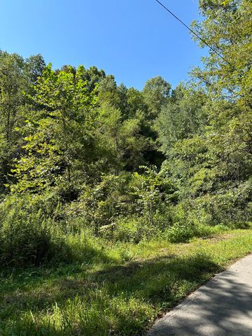 0 Hooker Road, Manchester, KY 40962