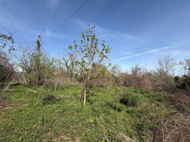 0 County Road 613, Angleton, TX 77515