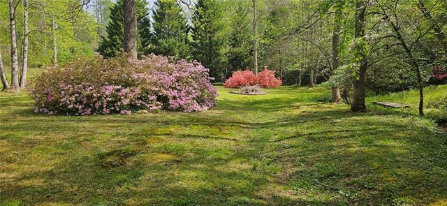 136 Ross Road, Mineral Bluff, GA 30559