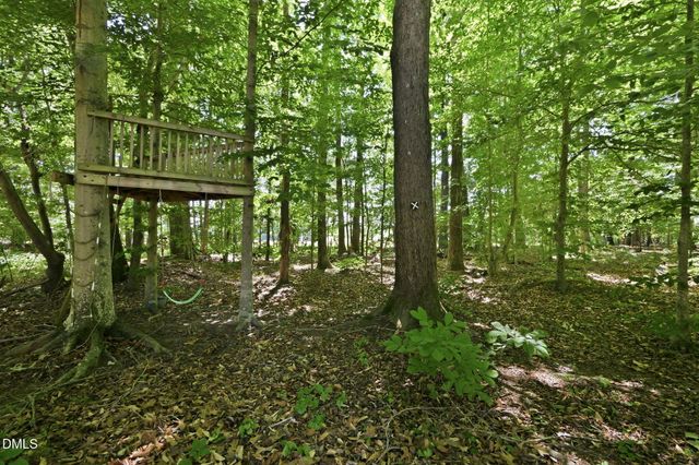 128 Bragg Lane, Hurdle Mills, NC 27541