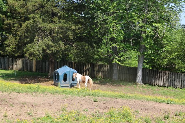 200 Reavley Road, Sale Creek, TN 37373