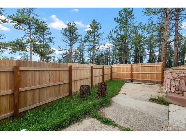 300 Ute Trl, Woodland Park, CO 80863