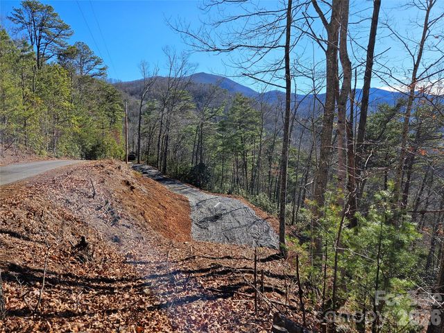 000 Blue Vista Road, Canton, NC 28716