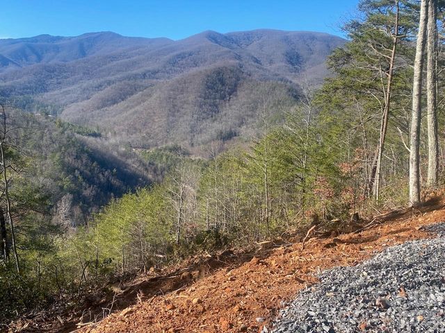 000 Blue Vista Road, Canton, NC 28716