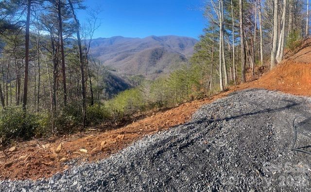 000 Blue Vista Road, Canton, NC 28716