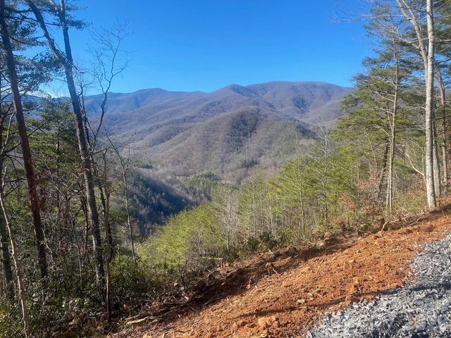 000 Blue Vista Road, Canton, NC 28716