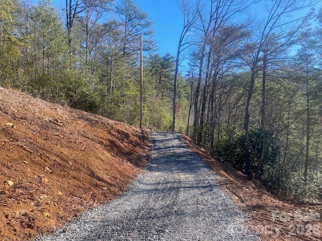000 Blue Vista Road, Canton, NC 28716