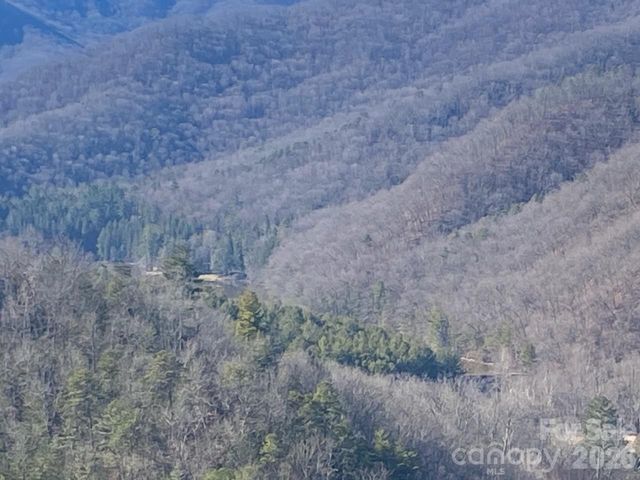 000 Blue Vista Road, Canton, NC 28716