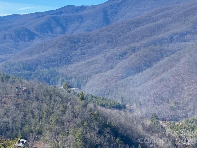 000 Blue Vista Road, Canton, NC 28716