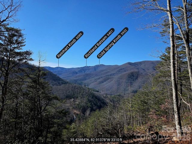 000 Blue Vista Road, Canton, NC 28716