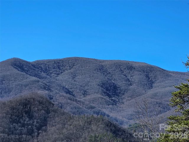 000 Blue Vista Road, Canton, NC 28716