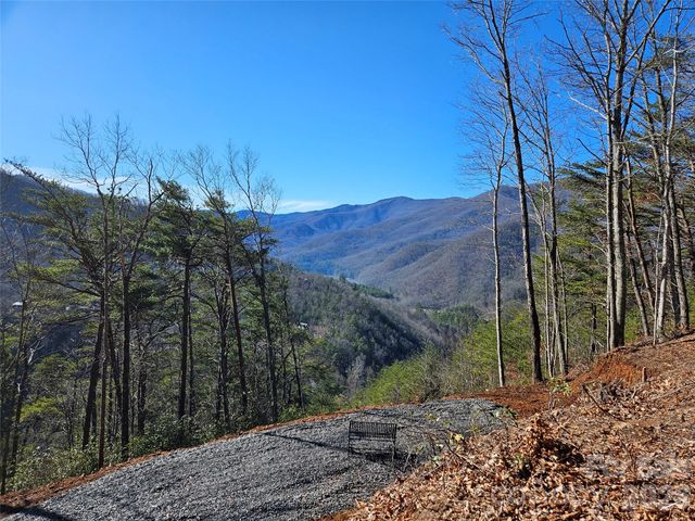 000 Blue Vista Road, Canton, NC 28716